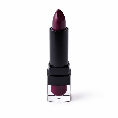 Anashe Perfect Lip 101