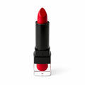 Anashe Perfect Lip 107